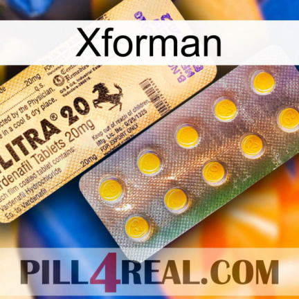 Xforman new06